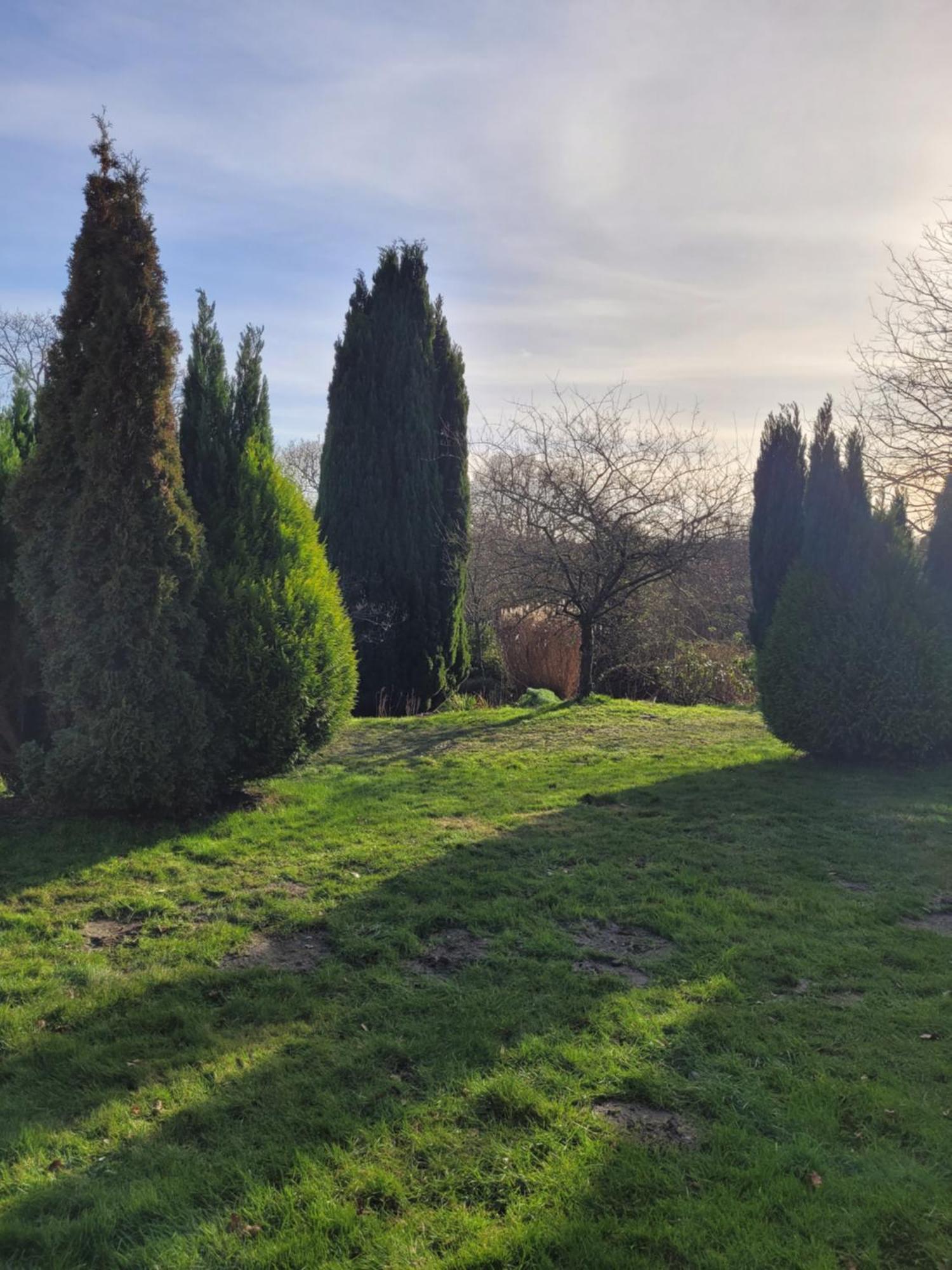 Furzey House Minstead Exterior foto